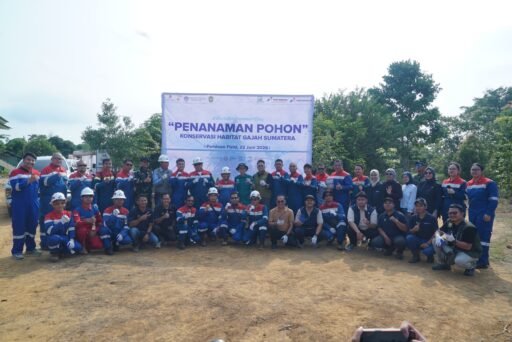 *Menjaga Jalur Pulang Gajah Sumatra, Pertamina EP Zona 4 Tanam Pohon di Musi Rawas* *Menjaga Jalur Pulang Gajah Sumatra, Pertamina EP Zona 4 Tanam Pohon di Musi Rawas*