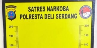 Pelaku Pengedar Narkoba diciduk, dan diboyong ke Sat Narkoba Polresta Deli Serdang