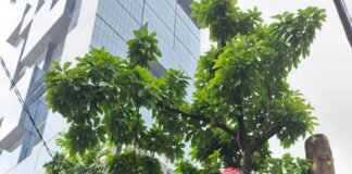 Tokoh dan Masyarakat Aceh gelar aksi di Kantor ESDM Jakarta,Dr.Fachrul Razi Ancam Demo lanjut Ke Istana.