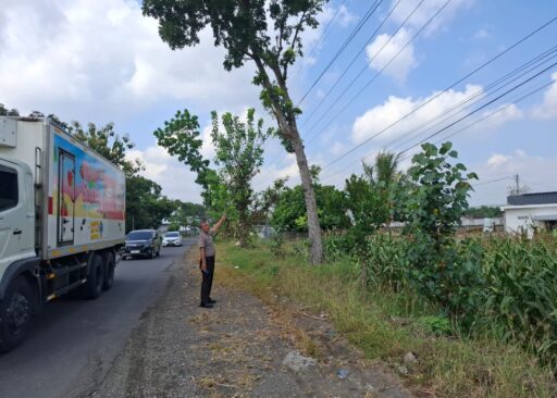 Polsek Ngimbang Gelar Patroli Dan Pengecekan Antisipasi Pohon Tumbang di Daerah Rawan Bencana Polsek Ngimbang Gelar Patroli Dan Pengecekan Antisipasi Pohon Tumbang di Daerah Rawan Bencana