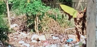 Lingkungan Kantor Camat Abab Dinilai Kumuh dan Tidak Terawat, Warga Harap Segera Dibersihkan