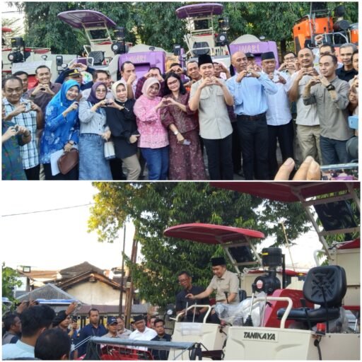 Dukung Ketahanan Pangan, Gus Fawait Salurkan Bantuan Pertanian ke Gapoktan dan Poktan Dukung Ketahanan Pangan, Gus Fawait Salurkan Bantuan Pertanian ke Gapoktan dan Poktan