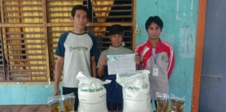 Bantuan Pangan Gratis” 261 Keluarga di Desa Sepantan Jaya Dapat Pasokan Beras dan Minyak.