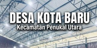 Kades Yusri Kolbi, S.KOM, “Pastikan” Penyaluran 470 Paket Bansos Pangan di Kota Baru Tepat Sasaran.