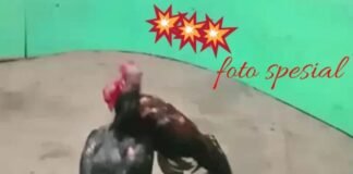 Supremasi Hukum Di wilayah Polres Nias Sedang Uji Warga.