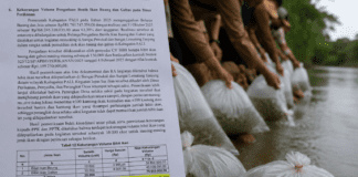 20 Ribu Bibit Ikan Hilang dari Kontrak? Temuan BPK Bongkar Kekurangan Volume Pengadaan D Dinas Perikanan PALI