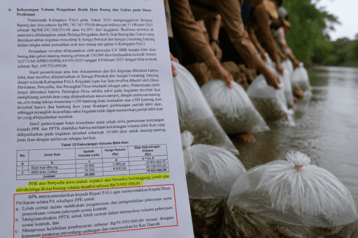 20 Ribu Bibit Ikan Hilang dari Kontrak? Temuan BPK Bongkar Kekurangan Volume Pengadaan D Dinas Perikanan PALI 20 Ribu Bibit Ikan Hilang dari Kontrak? Temuan BPK Bongkar Kekurangan Volume Pengadaan D Dinas Perikanan PALI