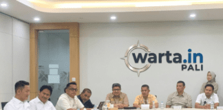 “Tembus Rp200 Miliar! Ini Strategi Baru Pemkab PALI Atasi Guncangan Fiskal”