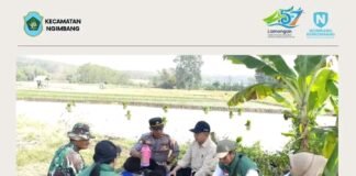 Muspika Kecamatan Ngimbang Gelar GERTAM MT 3 Di Desa Girik Kecamatan Ngimbang