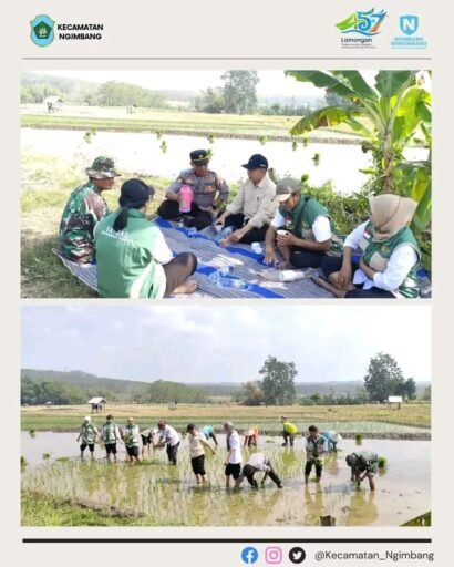 Muspika Kecamatan Ngimbang Gelar GERTAM MT 3 Di Desa Girik Kecamatan Ngimbang Muspika Kecamatan Ngimbang Gelar GERTAM MT 3 Di Desa Girik Kecamatan Ngimbang