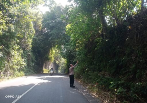 Guna Antisipasi Pohon Tumbang Polsek Ngimbang Gelar Patroli Dan Pengecekan di Daerah Rawan Bencana Guna Antisipasi Pohon Tumbang Polsek Ngimbang Gelar Patroli Dan Pengecekan di Daerah Rawan Bencana