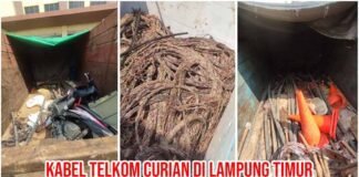 *Terbongkarnya Dugaan Pencurian Kabel PT Telkom, Berawal dari Temuan Tim PPWI di Lampung Timur*