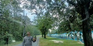 Guna Antisipasi Pohon Tumbang Polsek Ngimbang Gelar Patroli Dan Pengecekan di Daerah Rawan Bencana