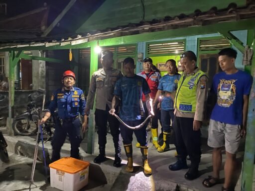 Anggota Jaga Polsek Ngimbang Bersama Damkar Tanggapi Pengaduan Masyarakat Melalui Layanan 110 Polri Anggota Jaga Polsek Ngimbang Bersama Damkar Tanggapi Pengaduan Masyarakat Melalui Layanan 110 Polri