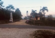 *Menolak Bungkam! Lahan Transmigrasi Singkut 3 Tahun 1981 Diduga Dicaplok Pemerintah Desa Bukit Murau*