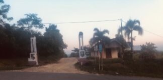 *Menolak Bungkam! Lahan Transmigrasi Singkut 3 Tahun 1981 Diduga Dicaplok Pemerintah Desa Bukit Murau*