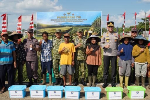 Sinergi TNI dan Petani: Pangdam XII/Tpr Laksanakan Panen Raya Padi Dukung Ketahanan Pangan Nasional Sinergi TNI dan Petani: Pangdam XII/Tpr Laksanakan Panen Raya Padi Dukung Ketahanan Pangan Nasional