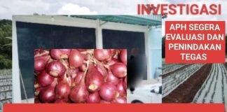 *Miliaran Rupiah, Sia-sia: Fasilitas Gudang Bawang dan Unit Chiller di Mukomuko Mangkrak Sejak Tahun 2024*