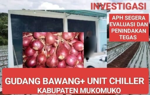 *Miliaran Rupiah, Sia-sia: Fasilitas Gudang Bawang dan Unit Chiller di Mukomuko Mangkrak Sejak Tahun 2024* *Miliaran Rupiah, Sia-sia: Fasilitas Gudang Bawang dan Unit Chiller di Mukomuko Mangkrak Sejak Tahun 2024*