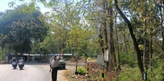 Polsek Ngimbang Gelar Patroli Dan Pengecekan Guna Antisipasi Pohon Tumbang di Daerah Rawan Bencana