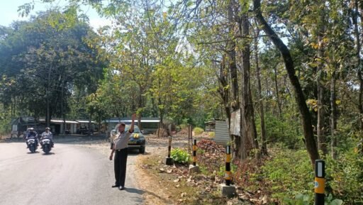 Polsek Ngimbang Gelar Patroli Dan Pengecekan Guna Antisipasi Pohon Tumbang di Daerah Rawan Bencana Polsek Ngimbang Gelar Patroli Dan Pengecekan Guna Antisipasi Pohon Tumbang di Daerah Rawan Bencana