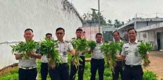 Panen Kangkung Capai 72,2 Kilogram, Rutan Kelas I Palembang Perkuat Program Ketahanan Pangan Nasional