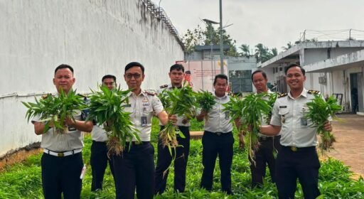 Panen Kangkung Capai 72,2 Kilogram, Rutan Kelas I Palembang Perkuat Program Ketahanan Pangan Nasional Panen Kangkung Capai 72,2 Kilogram, Rutan Kelas I Palembang Perkuat Program Ketahanan Pangan Nasional