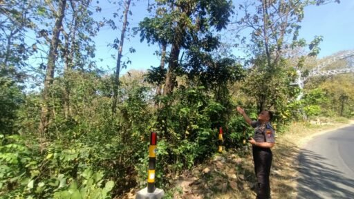 Polsek Ngimbang Gelar Patroli Dan Pengecekan Guna Antisipasi Pohon Tumbang di Daerah Rawan Bencana Polsek Ngimbang Gelar Patroli Dan Pengecekan Guna Antisipasi Pohon Tumbang di Daerah Rawan Bencana