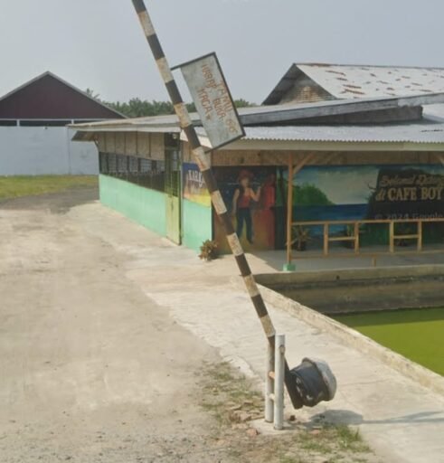 Diduga Bermodus Cafe Untuk Nongkrong, Cafe Boy Milik TS Buka Judi Terang – Terangan Diduga Bermodus Cafe Untuk Nongkrong, Cafe Boy Milik TS Buka Judi Terang – Terangan