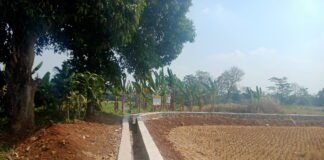 Program P3-TGAI di Desa Citalang Tingkatkan Jaringan Irigasi, Disambut Antusias Petani