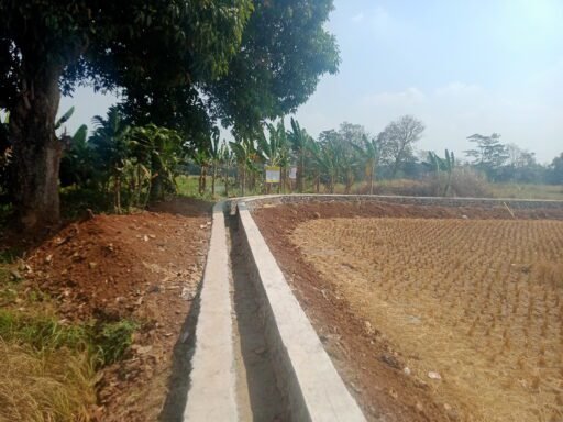 Program P3-TGAI di Desa Citalang Tingkatkan Jaringan Irigasi, Disambut Antusias Petani Program P3-TGAI di Desa Citalang Tingkatkan Jaringan Irigasi, Disambut Antusias Petani