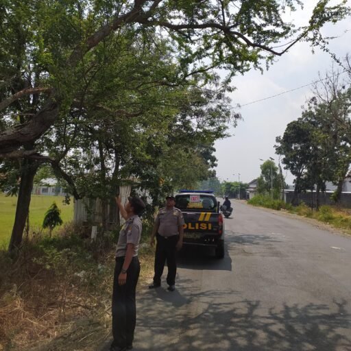 Polsek Ngimbang Gelar Patroli Dan Pengecekan Guna Antisipasi Pohon Tumbang di Daerah Rawan Bencana Polsek Ngimbang Gelar Patroli Dan Pengecekan Guna Antisipasi Pohon Tumbang di Daerah Rawan Bencana