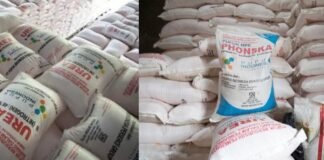 Harga Pupuk Subsidi Tembus di Atas HET, Petani Rejang Lebong dan Lebong Mengeluh.
