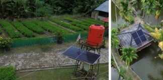 Program Desa Impian Antarkan PTBA Raih Penghargaan Internasional