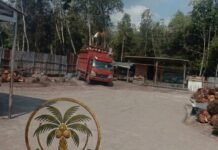 RAM Sawit PT Inti Agro Makmur di Desa Prabu Menang Diduga Ilegal, Kades Tegaskan Tak Miliki Izin Resmi!