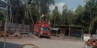 RAM Sawit PT Inti Agro Makmur di Desa Prabu Menang Diduga Ilegal, Kades Tegaskan Tak Miliki Izin Resmi!