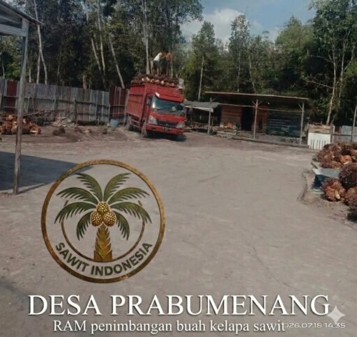 RAM Sawit PT Inti Agro Makmur di Desa Prabu Menang Diduga Ilegal, Kades Tegaskan Tak Miliki Izin Resmi! RAM Sawit PT Inti Agro Makmur di Desa Prabu Menang Diduga Ilegal, Kades Tegaskan Tak Miliki Izin Resmi!