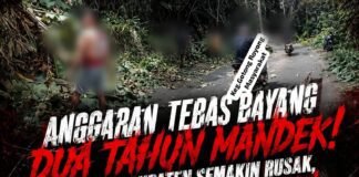 Publik Pertanyakan Anggaran Tebas Bayang Jalan Kabupaten,”Dua Tahun Tak Tersentuh”,Diduga Ada Penyelewengan.