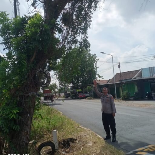 Personil Polsek Ngimbang Gelar Patroli Dan Pengecekan Guna Antisipasi Pohon Tumbang di Daerah Rawan Bencana Personil Polsek Ngimbang Gelar Patroli Dan Pengecekan Guna Antisipasi Pohon Tumbang di Daerah Rawan Bencana