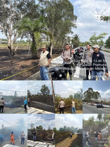Kebakaran Lahan Gambut Seluas 1 Hektare di Depan Stadion Mahmud Jalal, Polisi Selidiki Sumber Api Kebakaran Lahan Gambut Seluas 1 Hektare di Depan Stadion Mahmud Jalal, Polisi Selidiki Sumber Api