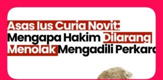 Rotua Wendeilyna Simarmata, Asas Iura Novit Curia Pada Sengketa Martua Sitanggang vs Sudung Sitanggang