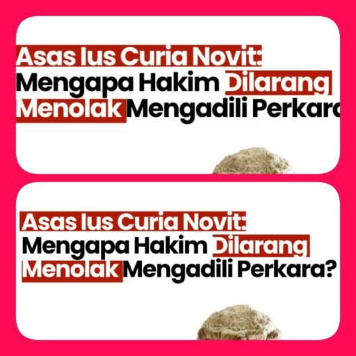 Rotua Wendeilyna Simarmata, Asas Iura Novit Curia Pada Sengketa Martua Sitanggang vs Sudung Sitanggang Rotua Wendeilyna Simarmata, Asas Iura Novit Curia Pada Sengketa Martua Sitanggang vs Sudung Sitanggang