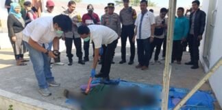 Ketua Komisi IV DPR RI Dorong Penguatan Produksi Bawang Putih untuk Kurangi Impor