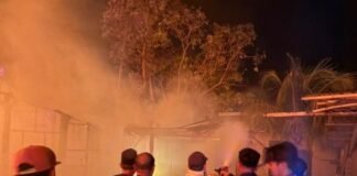 Bantu Pemadaman dan Evakuasi Kebakaran Desa Sade, Brimob Polda NTB Turunkan Water Cannon