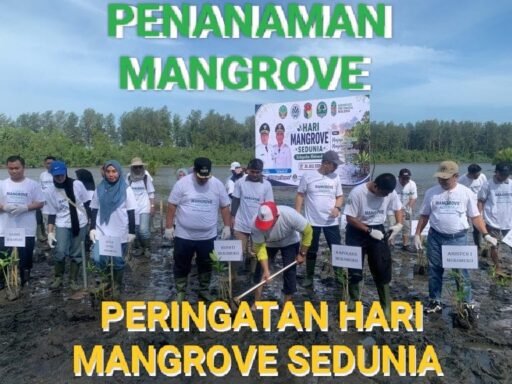 *BUPATI MUKOMUKO PIMPIN LANGKAH KONSERVASI: SERIBU BATANG MANGROVE DITANAM PERINGATI HARI MANGROVE SEDUNIA* *BUPATI MUKOMUKO PIMPIN LANGKAH KONSERVASI: SERIBU BATANG MANGROVE DITANAM PERINGATI HARI MANGROVE SEDUNIA*