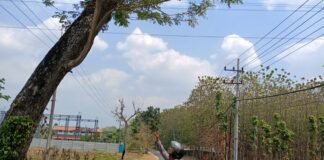 Personil Polsek Ngimbang Gelar Patroli Dan Pengecekan Guna Antisipasi Pohon Tumbang di Daerah Rawan Bencana
