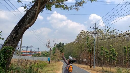 Personil Polsek Ngimbang Gelar Patroli Dan Pengecekan Guna Antisipasi Pohon Tumbang di Daerah Rawan Bencana Personil Polsek Ngimbang Gelar Patroli Dan Pengecekan Guna Antisipasi Pohon Tumbang di Daerah Rawan Bencana