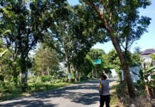 Personil Polsek Ngimbang Gelar Patroli Dan Pengecekan Guna Antisipasi Pohon Tumbang di Daerah Rawan Bencana