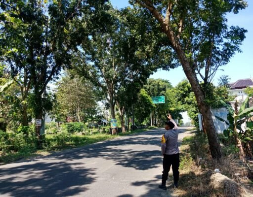 Personil Polsek Ngimbang Gelar Patroli Dan Pengecekan Guna Antisipasi Pohon Tumbang di Daerah Rawan Bencana Personil Polsek Ngimbang Gelar Patroli Dan Pengecekan Guna Antisipasi Pohon Tumbang di Daerah Rawan Bencana