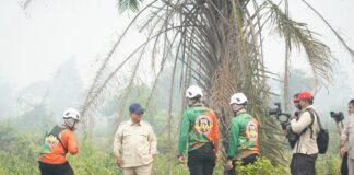 Presiden Prabowo Tinjau Penanganan Karhutla di Kalbar
